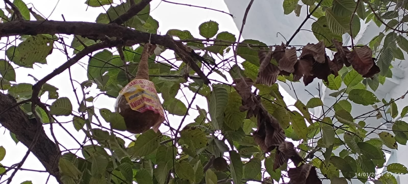 Biodiversity Conservation Awareness Programme